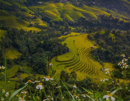 https://www.ceno-travel.com/cache/image/202306271516070.Azie.jpg