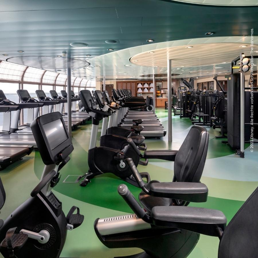 Fitness Disney Wonder