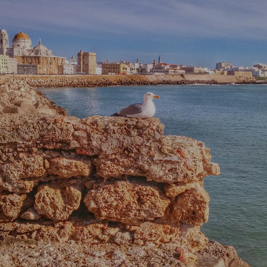 Cadiz