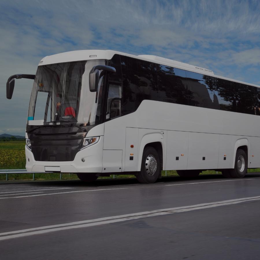 Specials busreizen C&O Travel