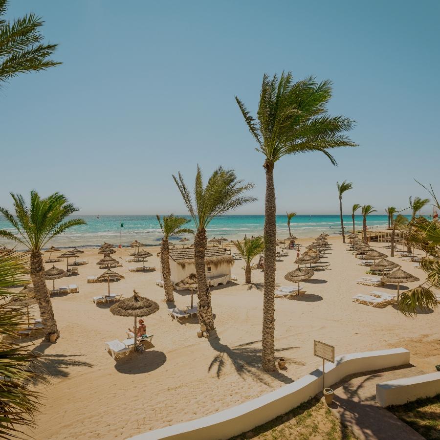 https://www.ceno-travel.com/cache/image/900x900_c51a6f978cc4308a.jpg
