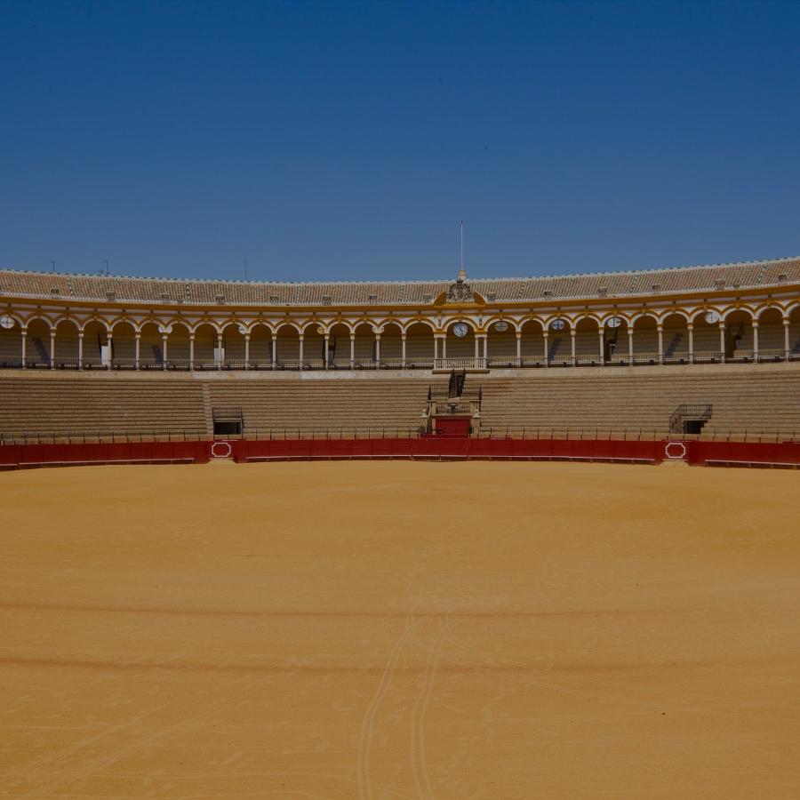 Bezoek stierenvechterij, uniek bedrijfsuitje Sevilla