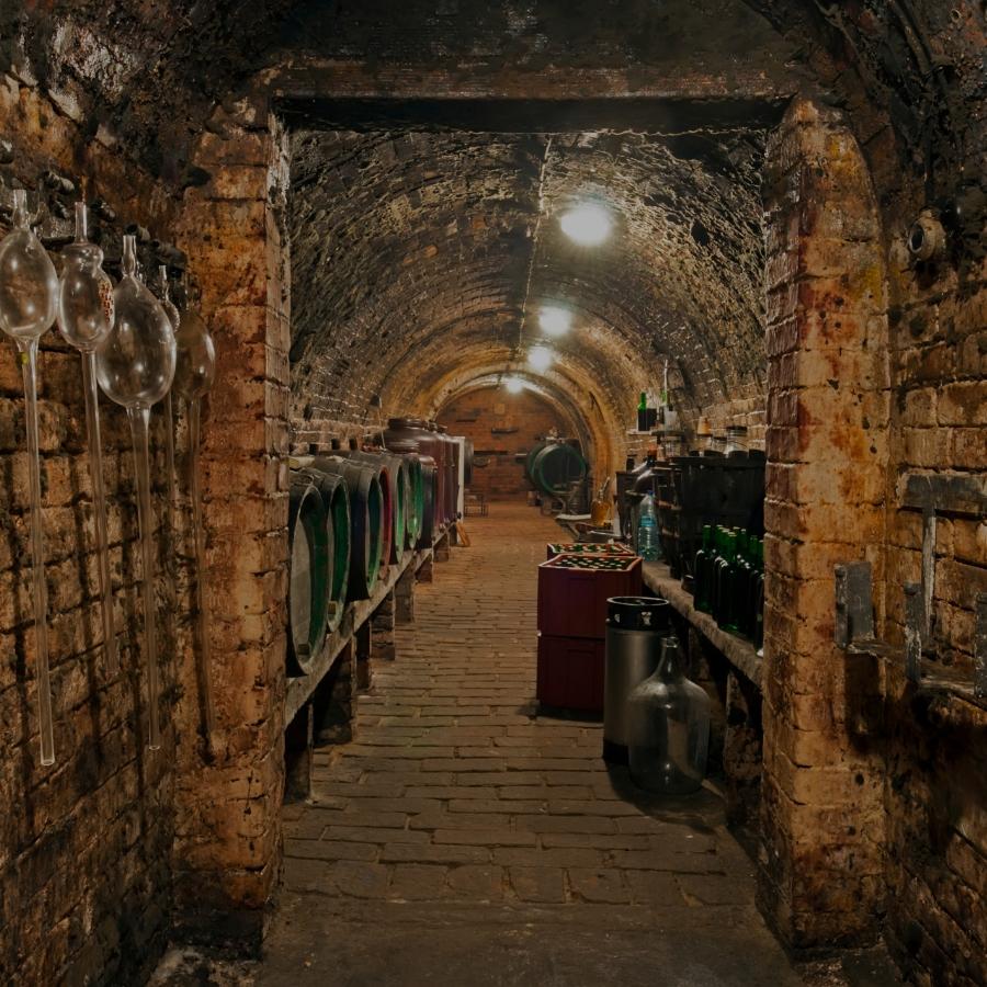 Groepsreis naar Sandeman Museum Cellar